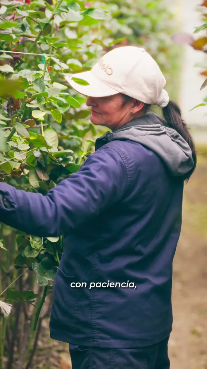 D'Secret: pieza de marca